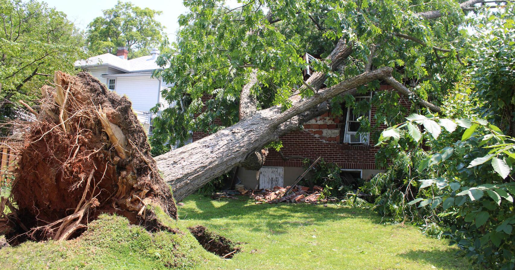 Update: Power comes back after ferocious storm damages homes, vehicles in Danville - Vimarsana News
