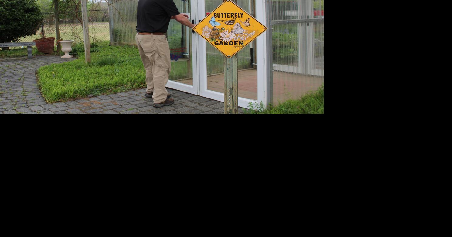 Butterflies in the spotlight at Danville Science Center