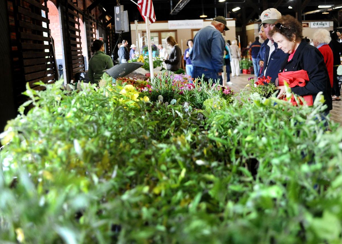 Danville debuts first winter Farmers’ Market Business