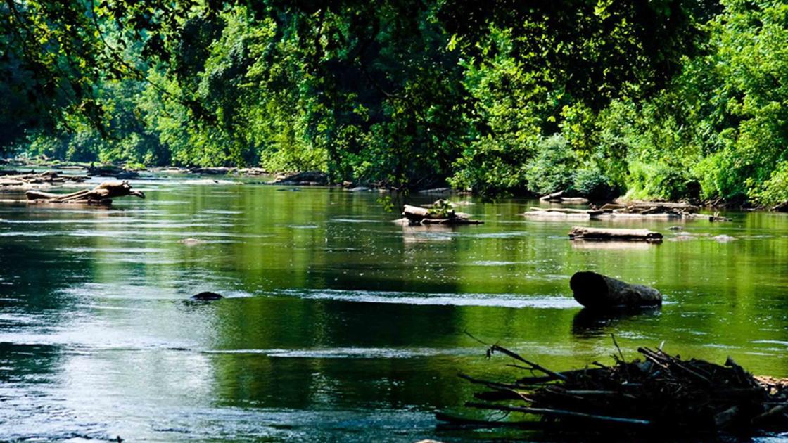 Dan River Basin Association receives grant so students can learn from the Dan River - GoDanRiver.com