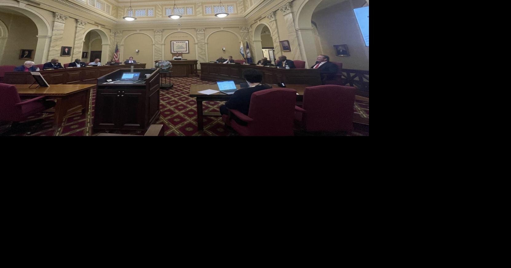 Danville City Council approves agreement to add another energy source to its portfolio