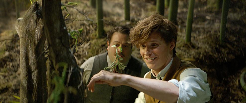 'Fantastic Beasts and Where to Find Them': All you need to know about