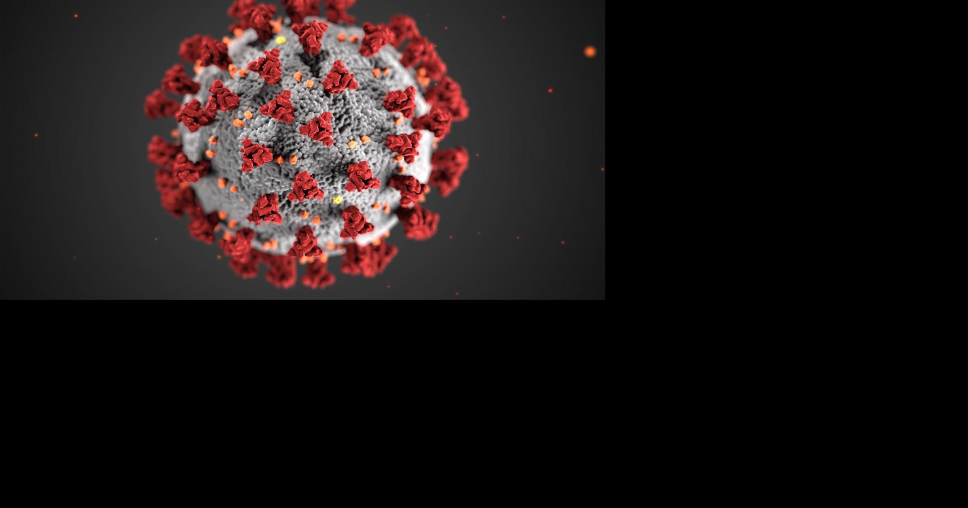 Case of COVID19 reported at Green Rock Correctional Center in Chatham