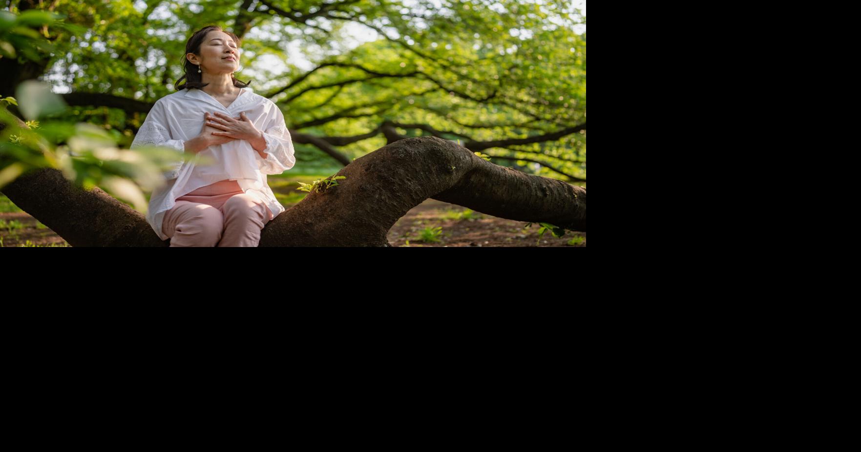 Shinrinyoku Recharge your spirit with the Japanese art of forest bathing