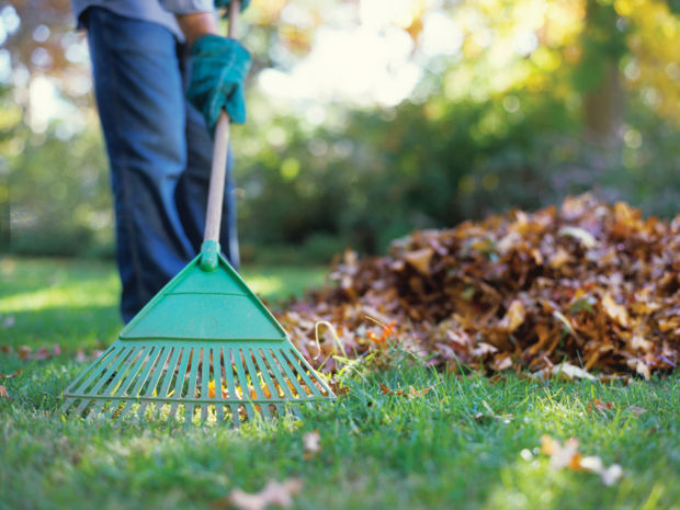 to rake