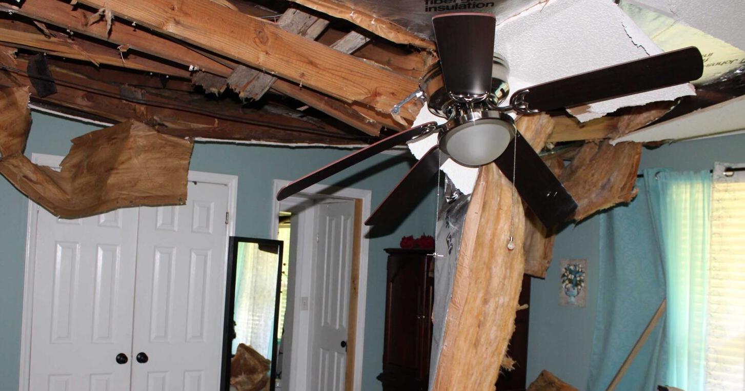 Returning for only a few hours after a monthslong recovery following stroke, tree slices into Danville woman's home - Vimarsana News