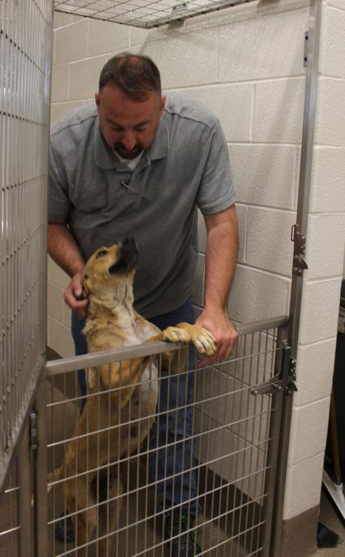 Pittsylvania Pet Center