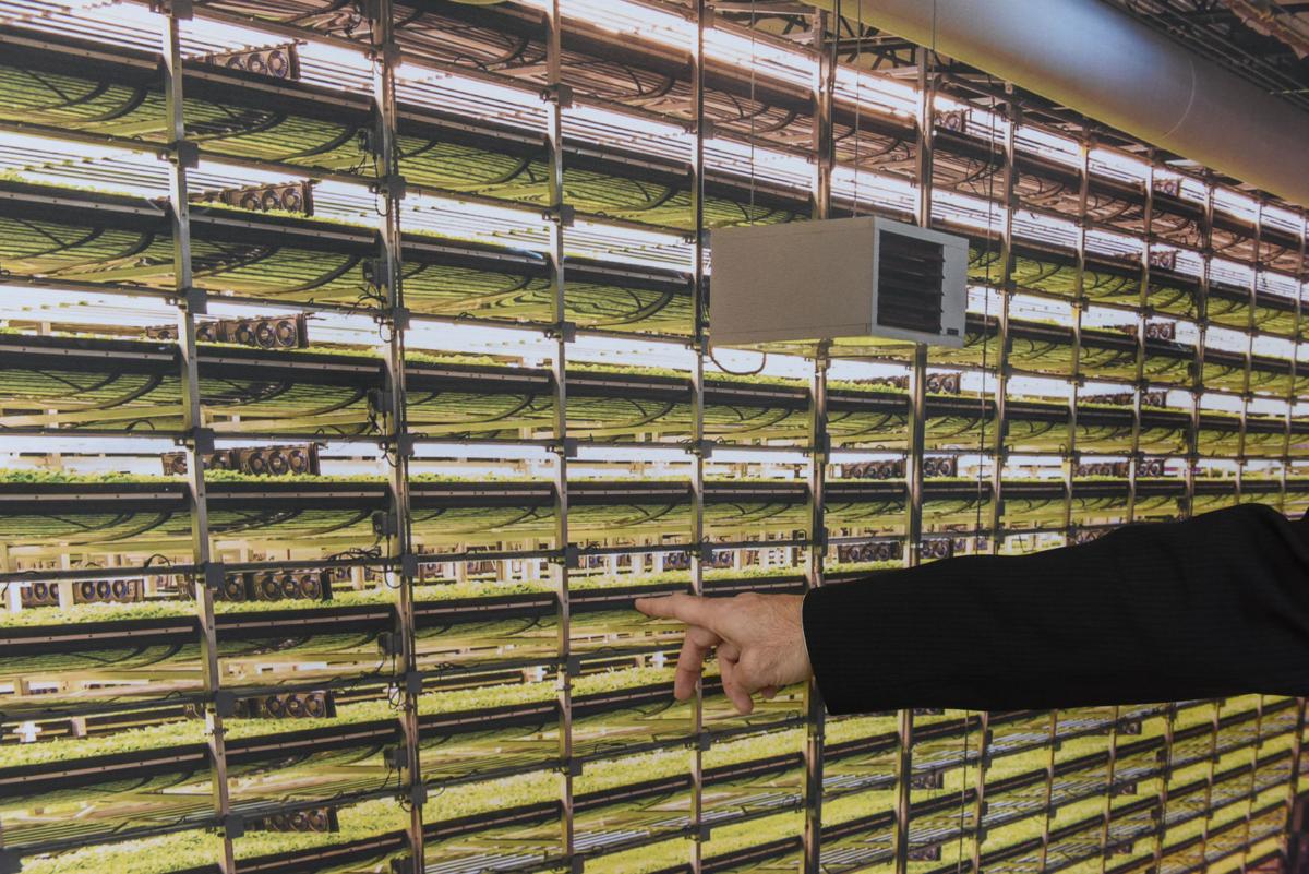 Aerofarms stock picture