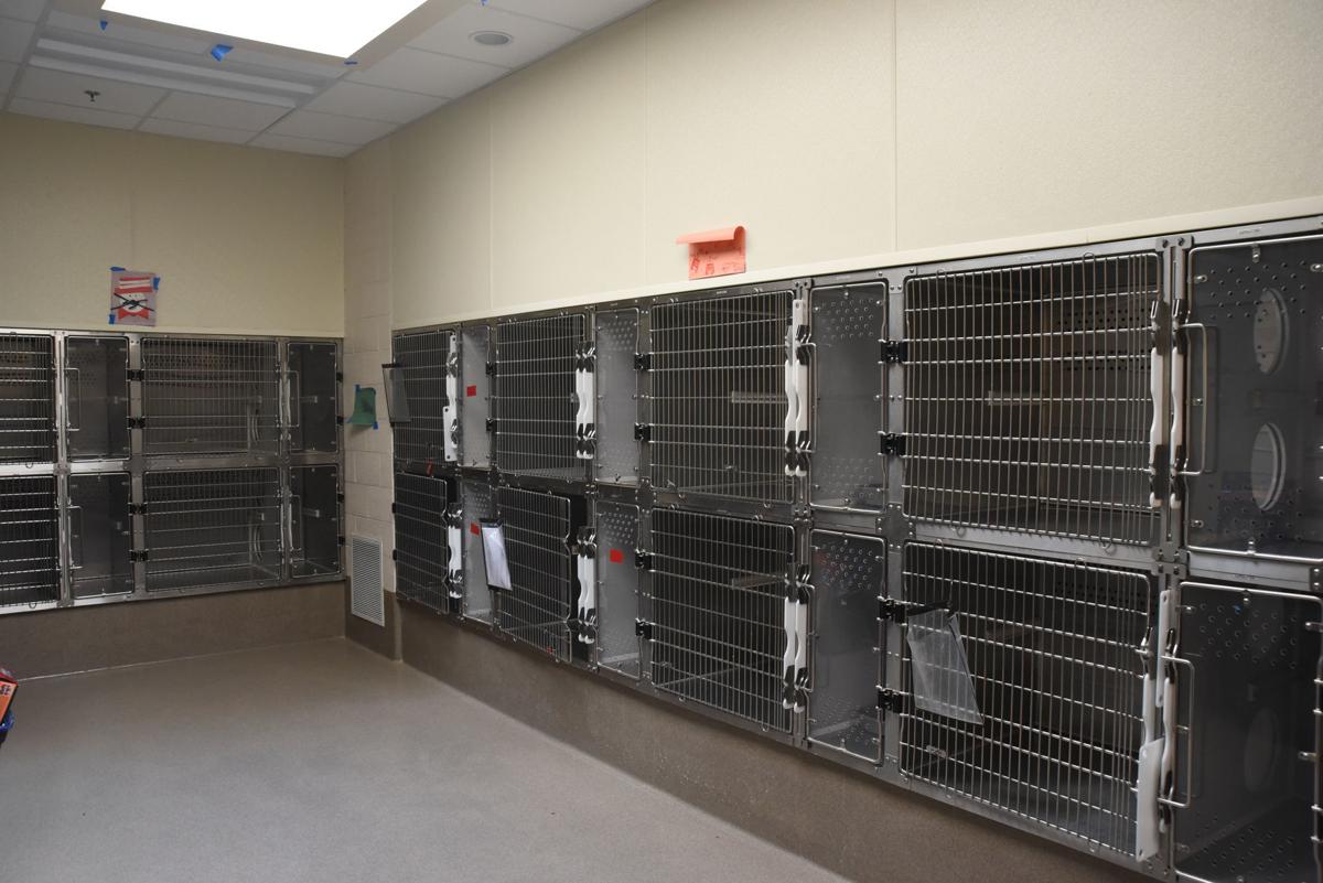 As Danville, Pittsylvania animal shelters adapt to impacts of