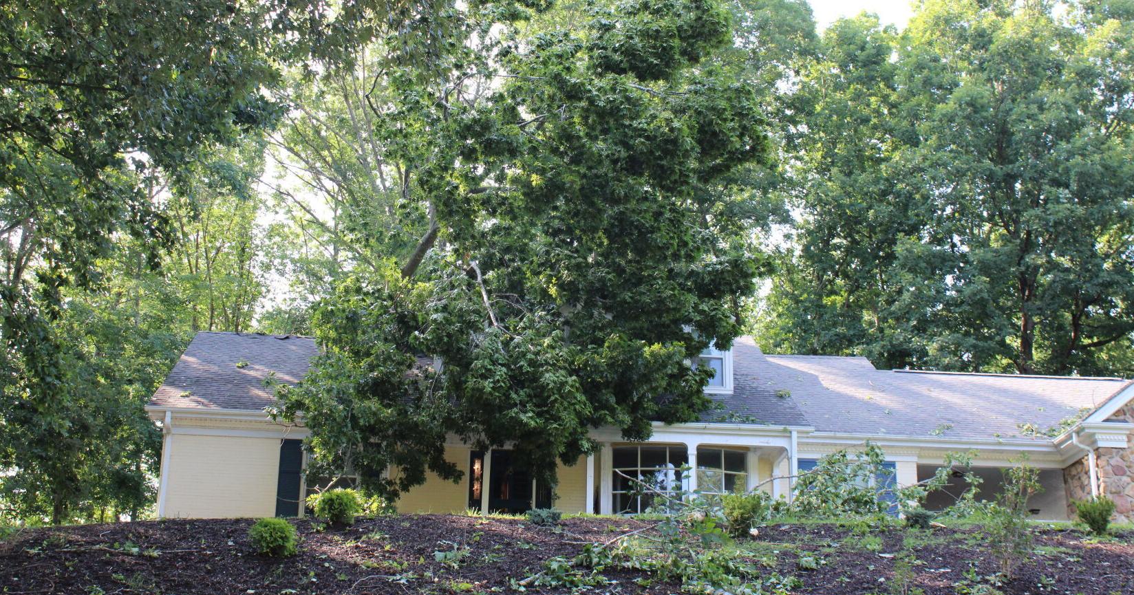 Update: Less than 500 without power following Sunday's powerful storm in Danville - Vimarsana News