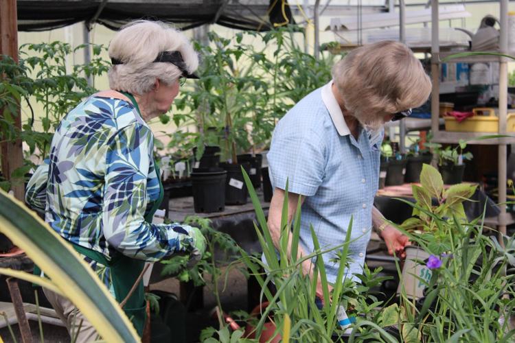Gardeners