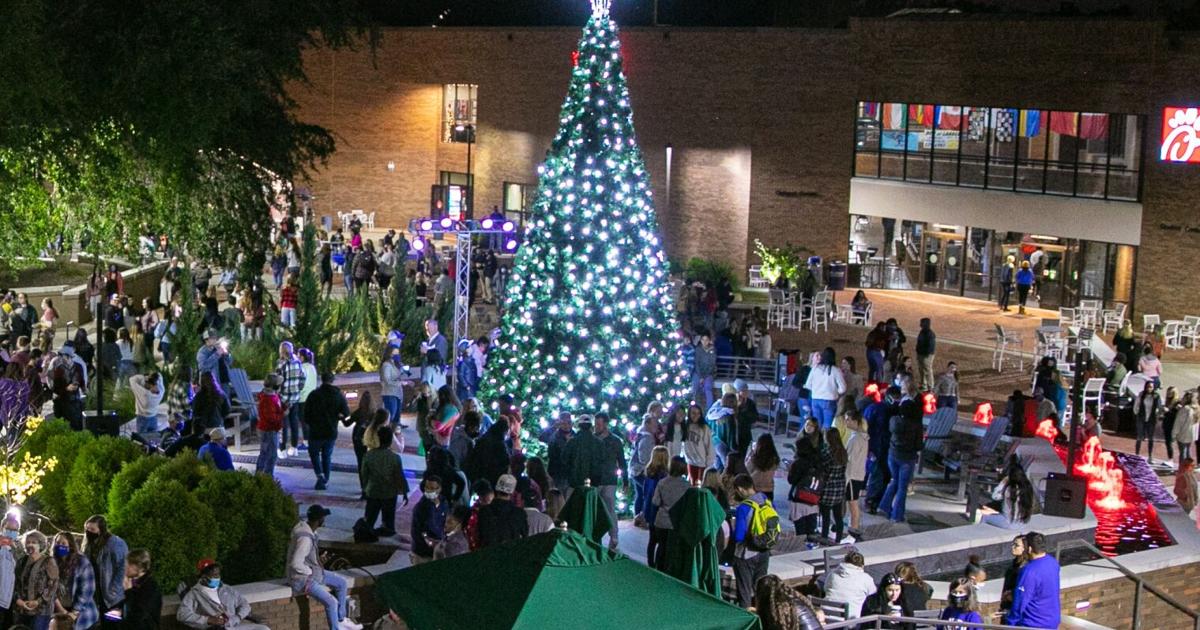 Lander Tree Lander University to kick off holiday season with annual tree lighting ...