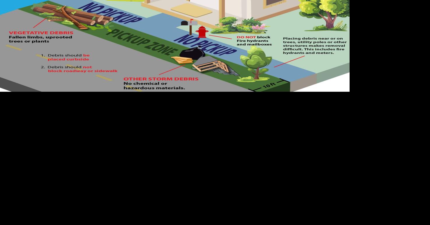 SCDOT set to begin storm debris removal from sides of road | News ...