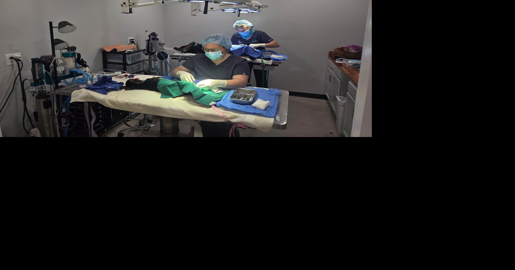 Community support helps Laurens County Humane Society turn vision into reality