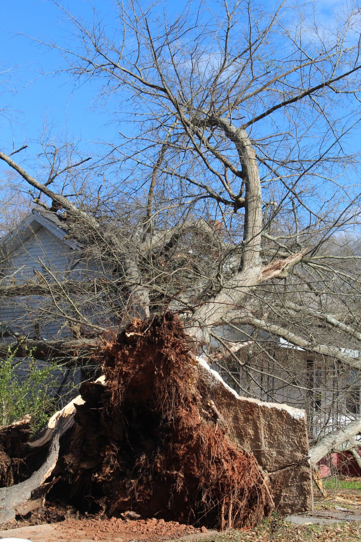 Southern part of Laurens County bears brunt of storms | GoClinton.com |  golaurens.com