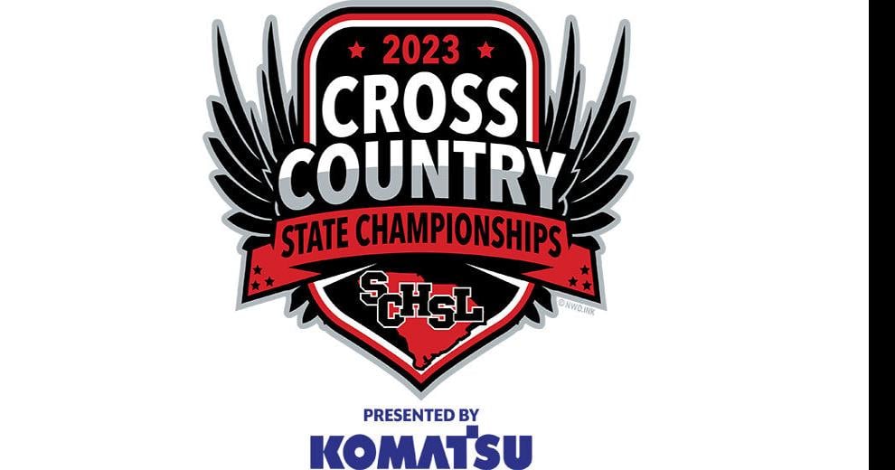 Local cross country teams fare well at state championships Sports