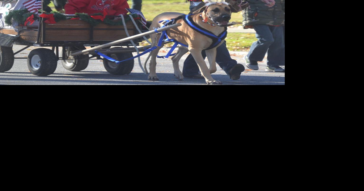 Photos Clinton Christmas Parade News