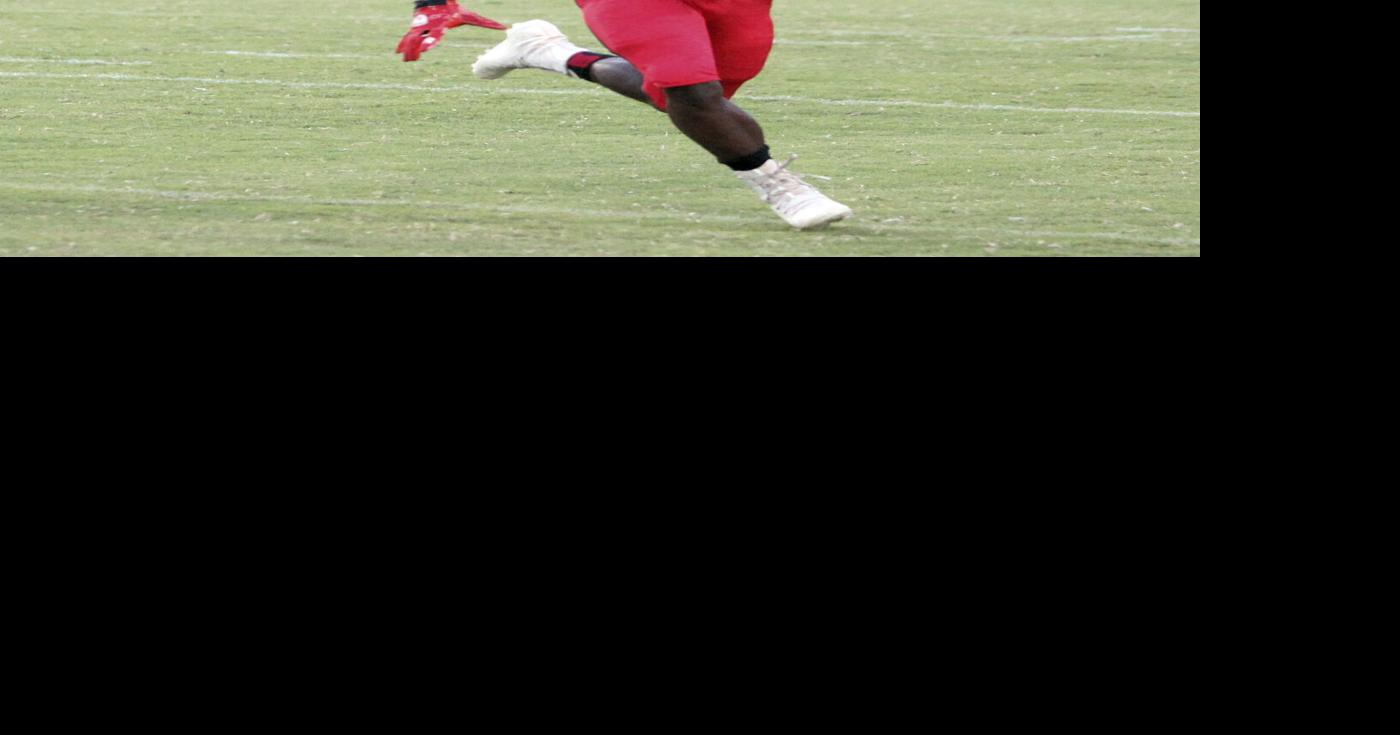 James named finalist for SC Mr. Football award Sports