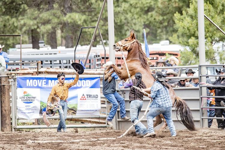 Scenes from the Ketchum Kalf Rodeo