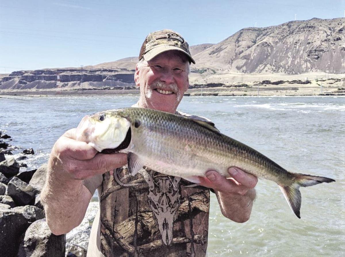 The Washington Outdoors Report: Shad!, Features