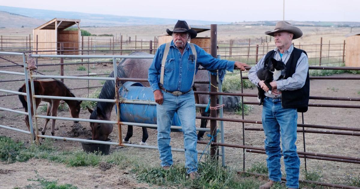 Davenport: ‘We’re rodeo family’ | Features | goldendalesentinel.com