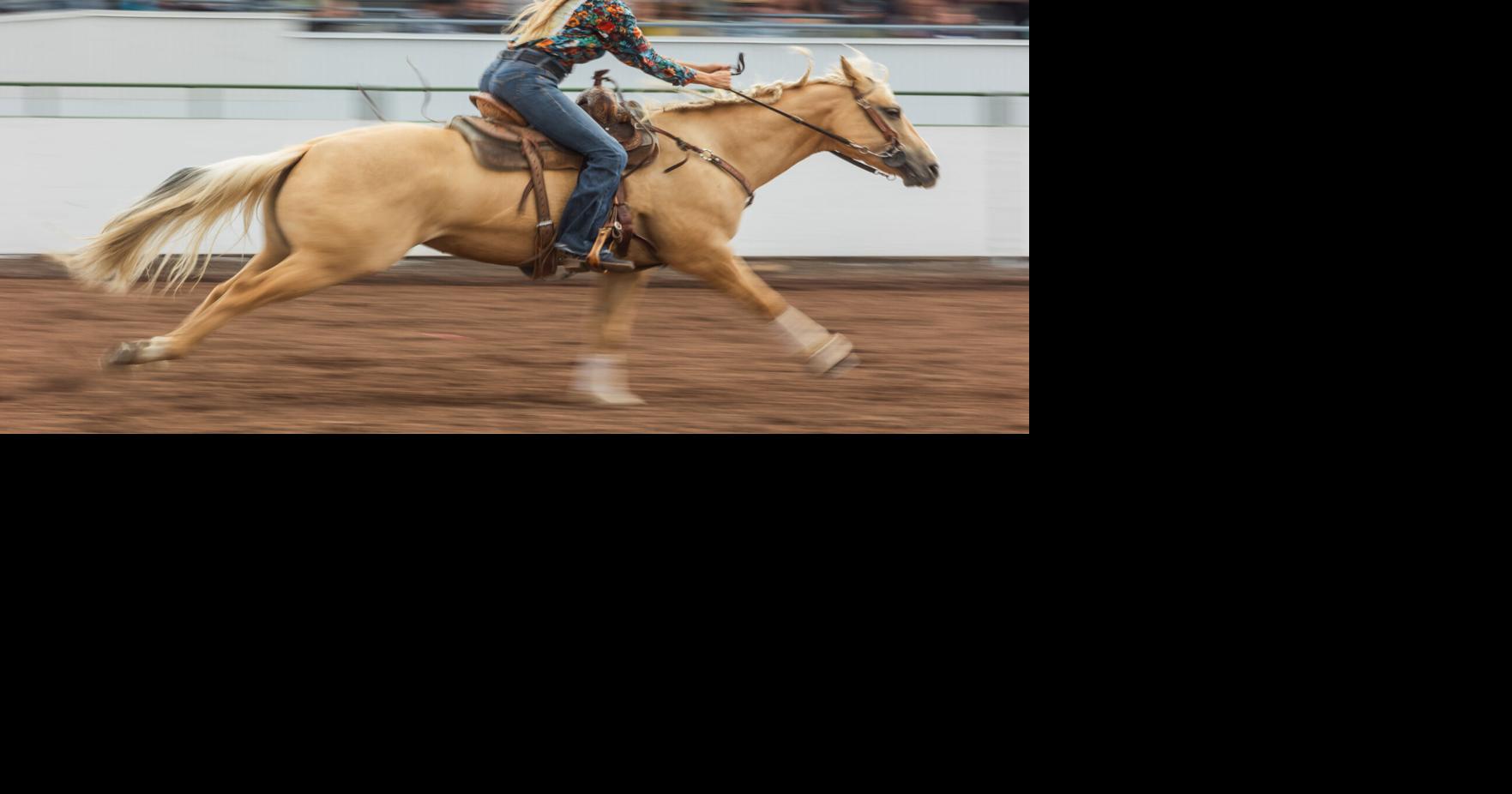 The Rodeo | Features