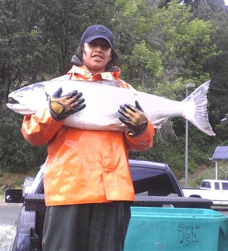 Farmer Catch Fish in River Using Hoop Net Fishing Traps. Editorial