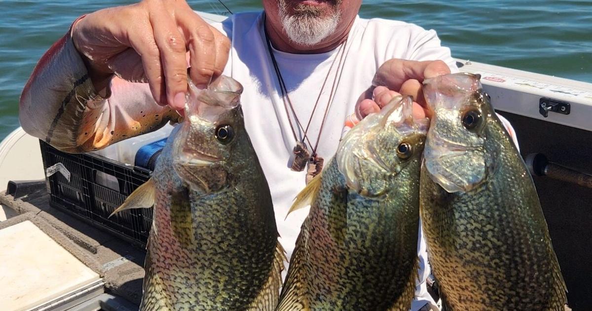 12 Best Crappie Fishing Lakes in Washington - Best Fishing in America