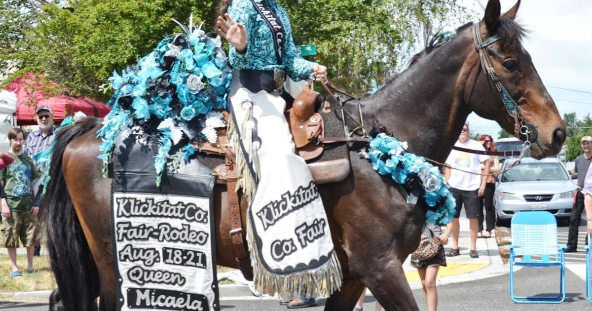 More equestrian scenes from the Community Days parade... Community