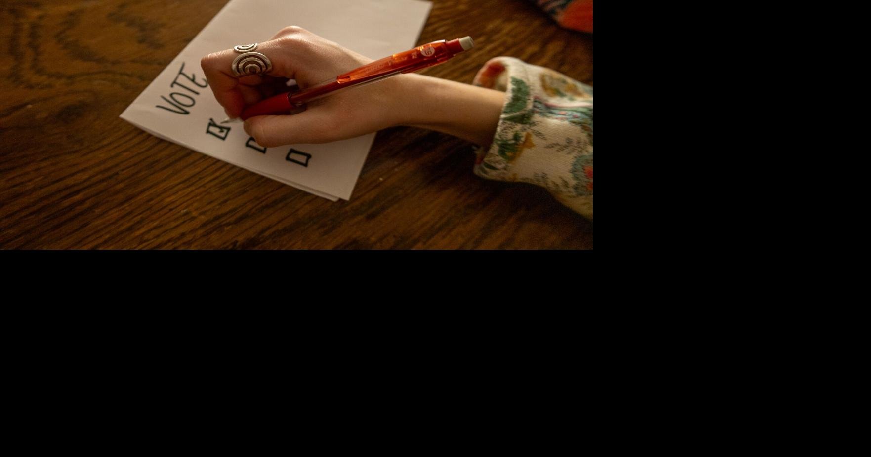 Large number of candidates seek GSBA positions in spring elections