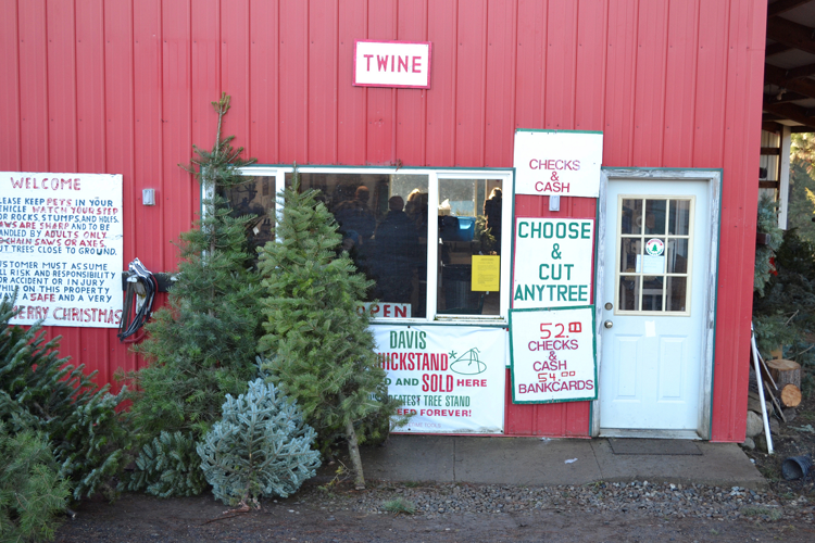 Experiencing the holiday celebrations at Green Bluff Arts