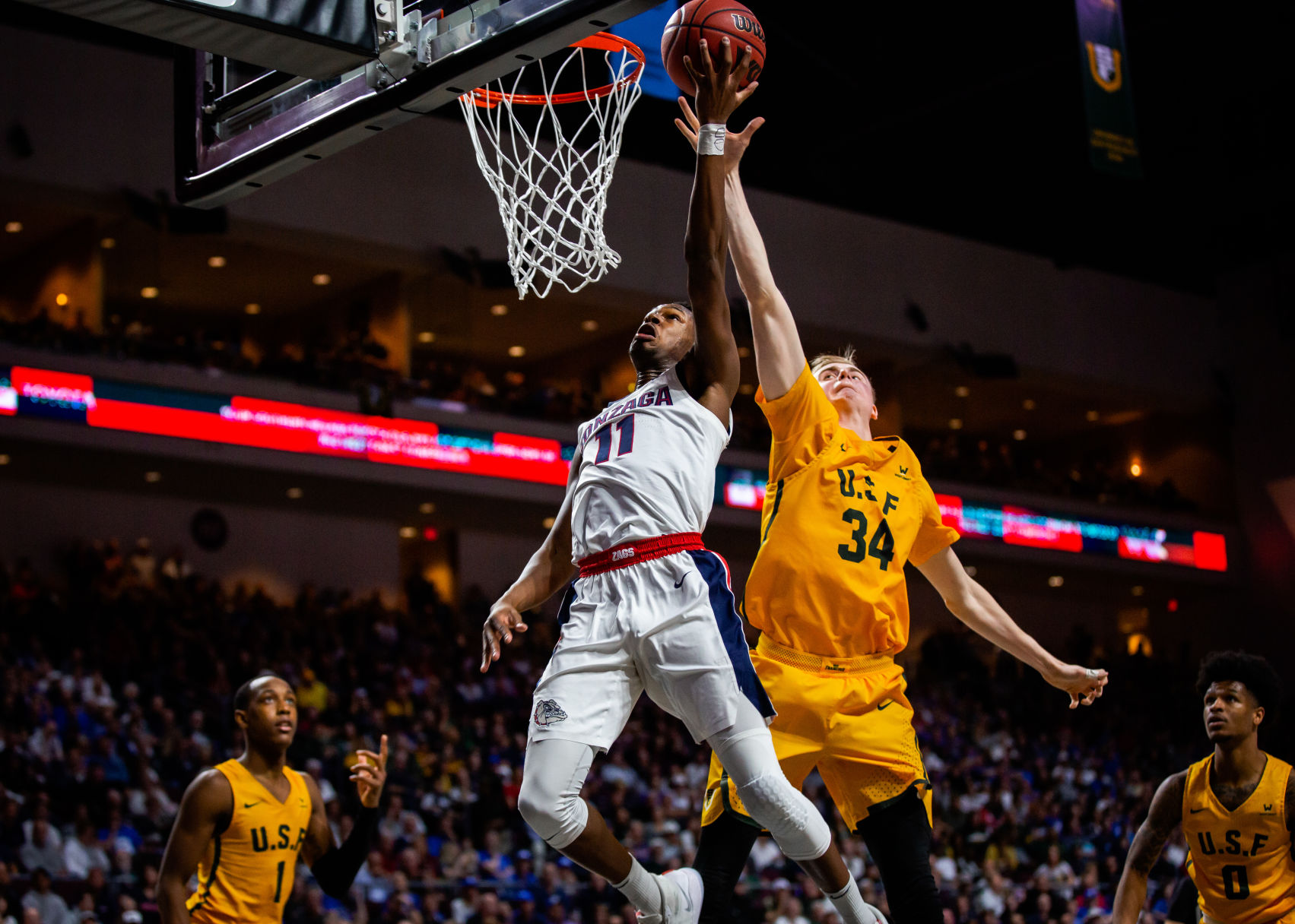 gonzaga basketball