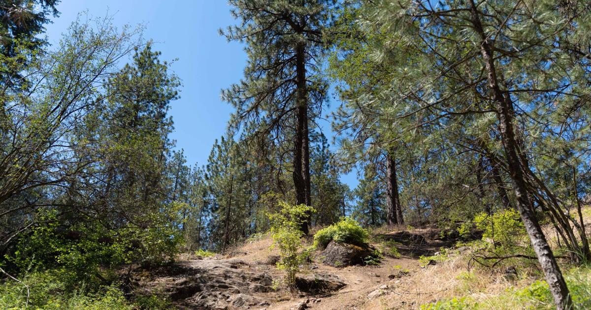 Happy trails: The ultimate guide to Spokane's best hiking spots