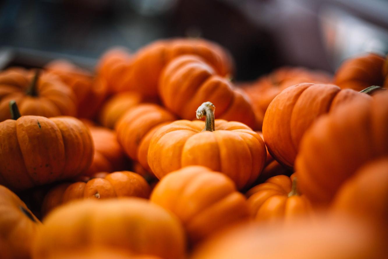 Thrifty Halloween Affordable and sustainable costume ideas in Spokane