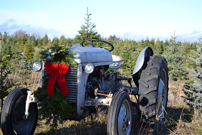 Greenbluff Christmas Experience 2021