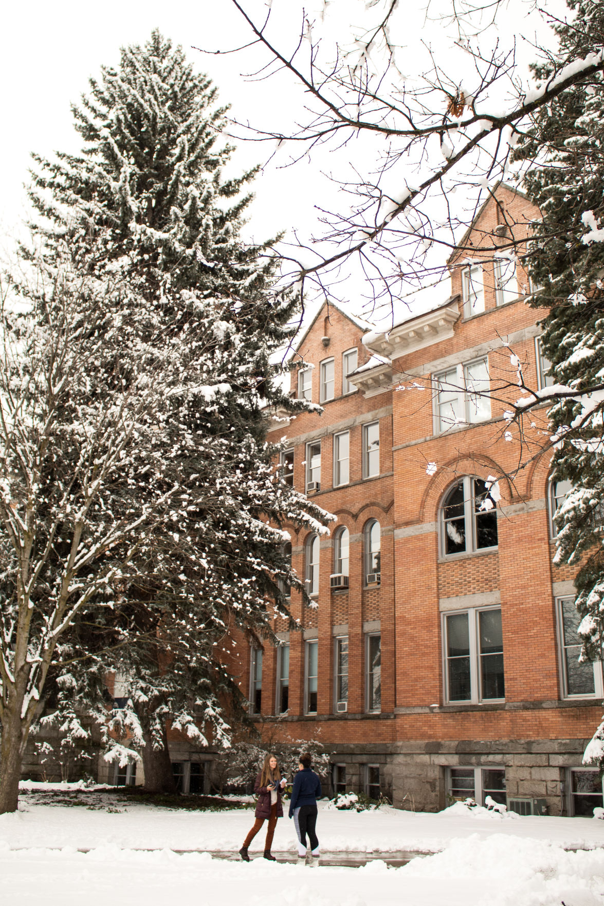 Winter Comes Late To Spokane And Brightens Up Campus Gallery Gonzagabulletin Com