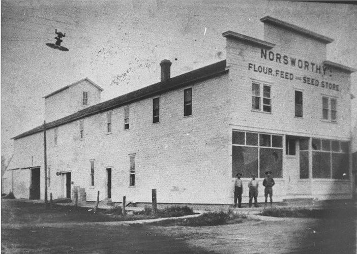 BUILDING A COMMUNITY Feed, seed and...pitch News