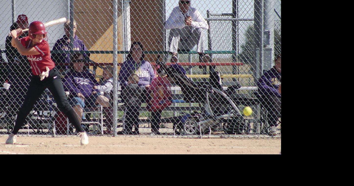 Swede softball defends home field in B9 subdistrict play Sports