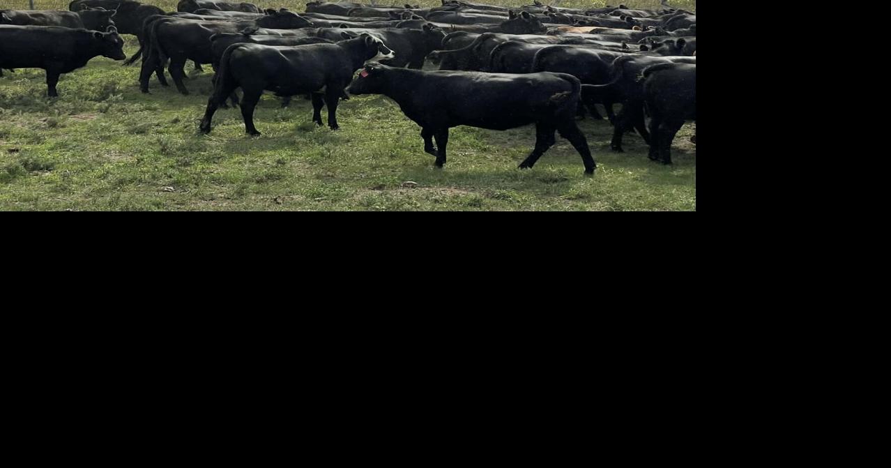 Nebraska Legacy Ranch Changes Hands