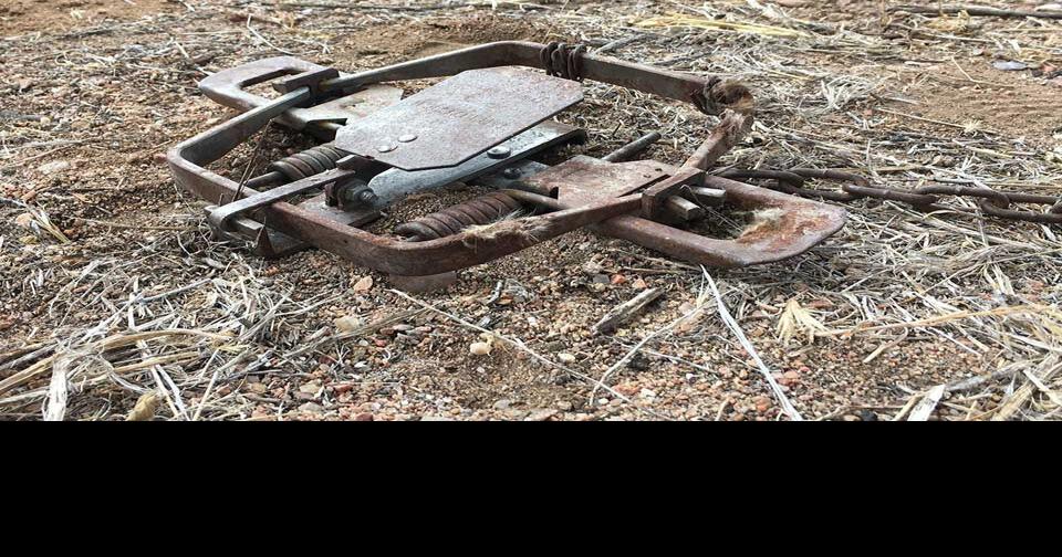 New Mexico Trapping Statute Goes Into Effect April 1 News