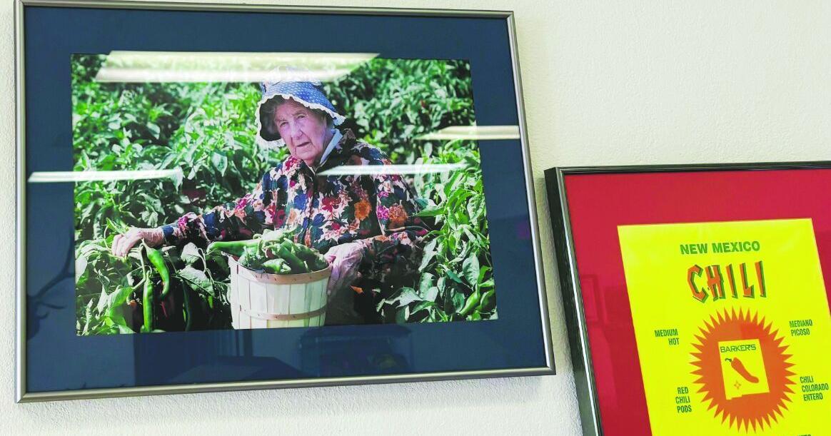 Farm to Table: The Journey of New Mexico’s Famous Crops