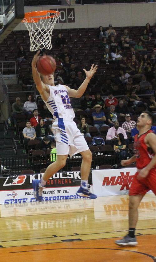 Tigers At State Playoffs Collection 30