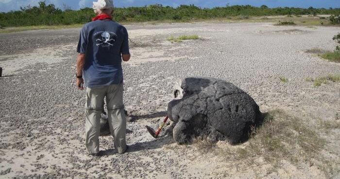 Medieval tsunami left coral clues in the caribbean with a warning