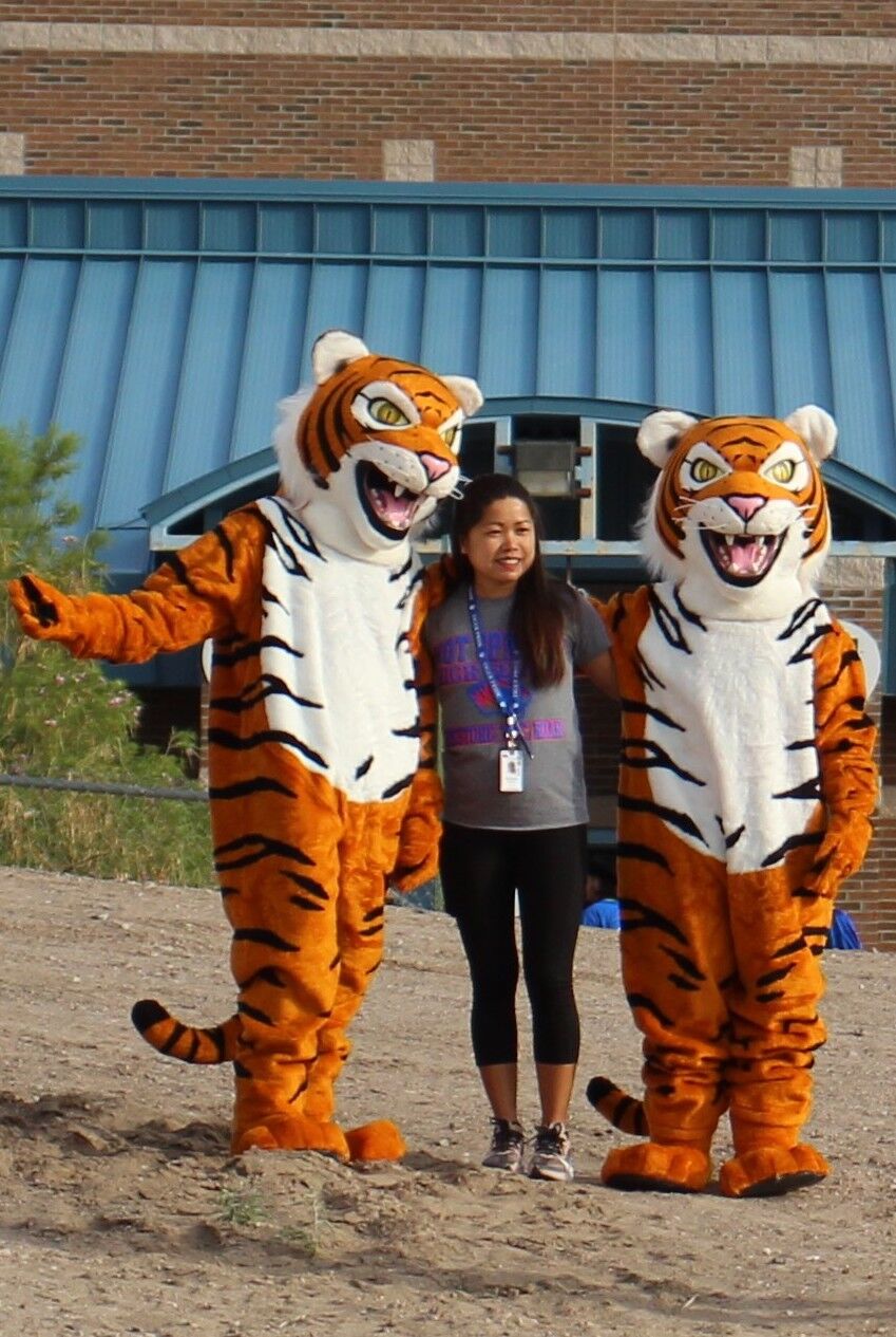Tiger Mascots 2