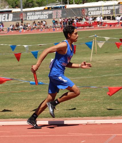 Tiger Track At State