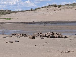 Low Water At Lake Prompts Cleanup Interest – And a Reminder To Check First