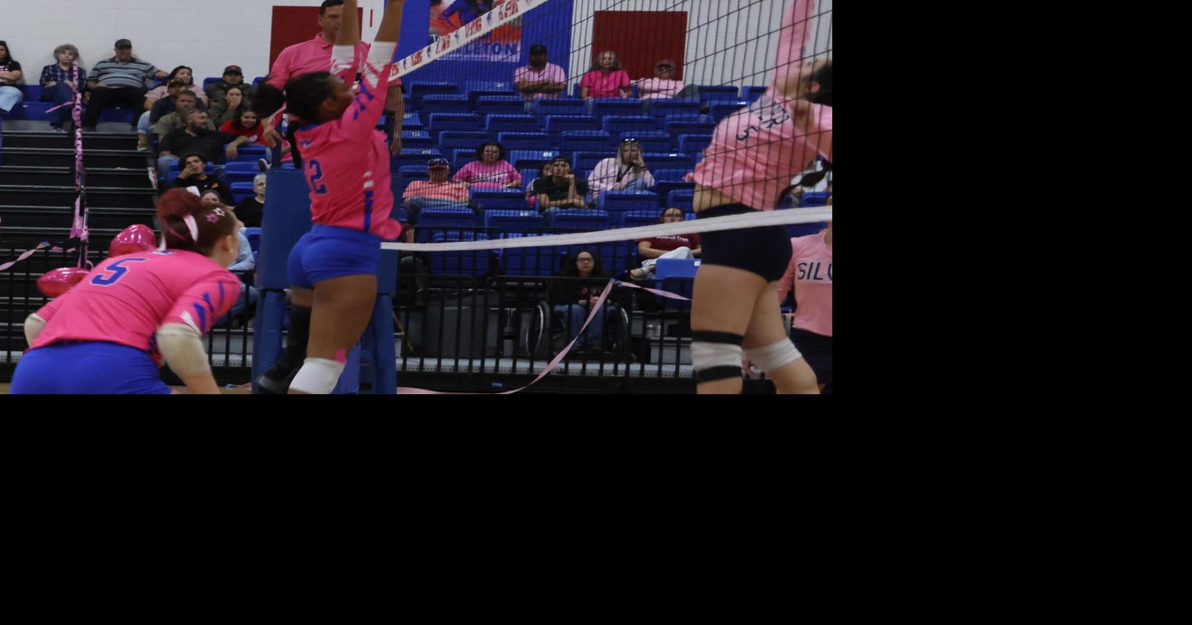 Tiger Volleyball Splits Final Two Pre-District Matches