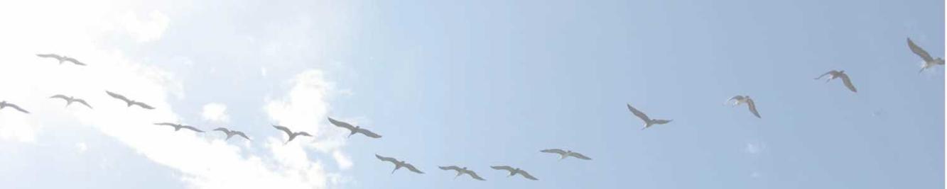 Obituaries | gpkmedia.com