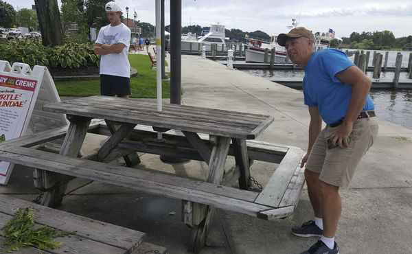 Winds Tear Down Trees Along Gh Waterfront Local News