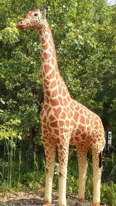 lego animals at john ball zoo